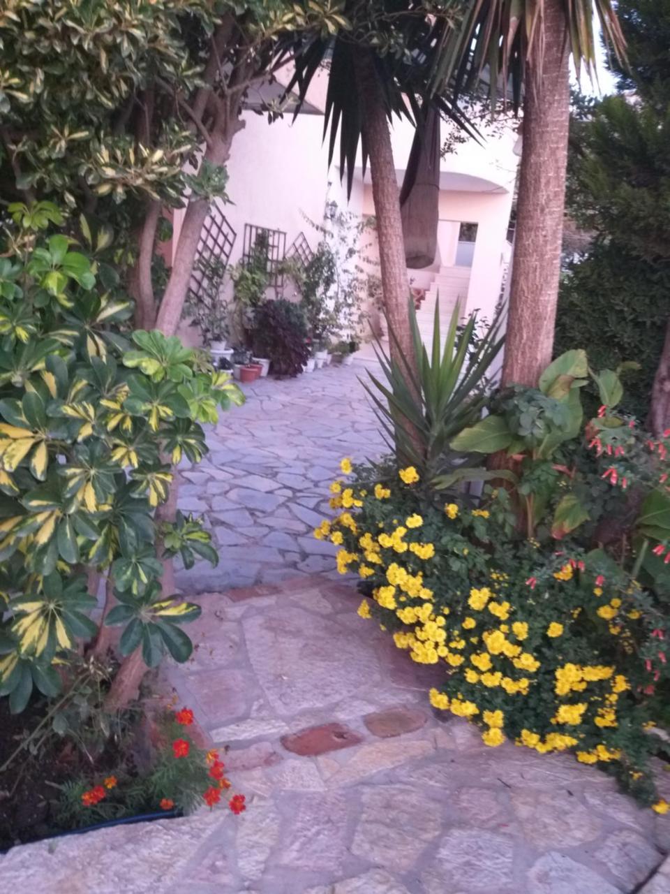 Guesthouse Villa Joanna&Mattheo Sarandë エクステリア 写真