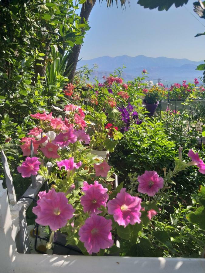 Guesthouse Villa Joanna&Mattheo Sarandë エクステリア 写真